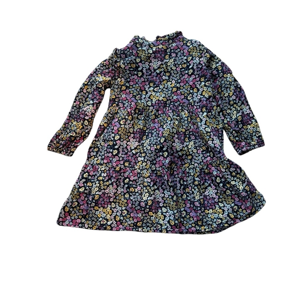 Baby gap Floral Long Sleeve Dress
